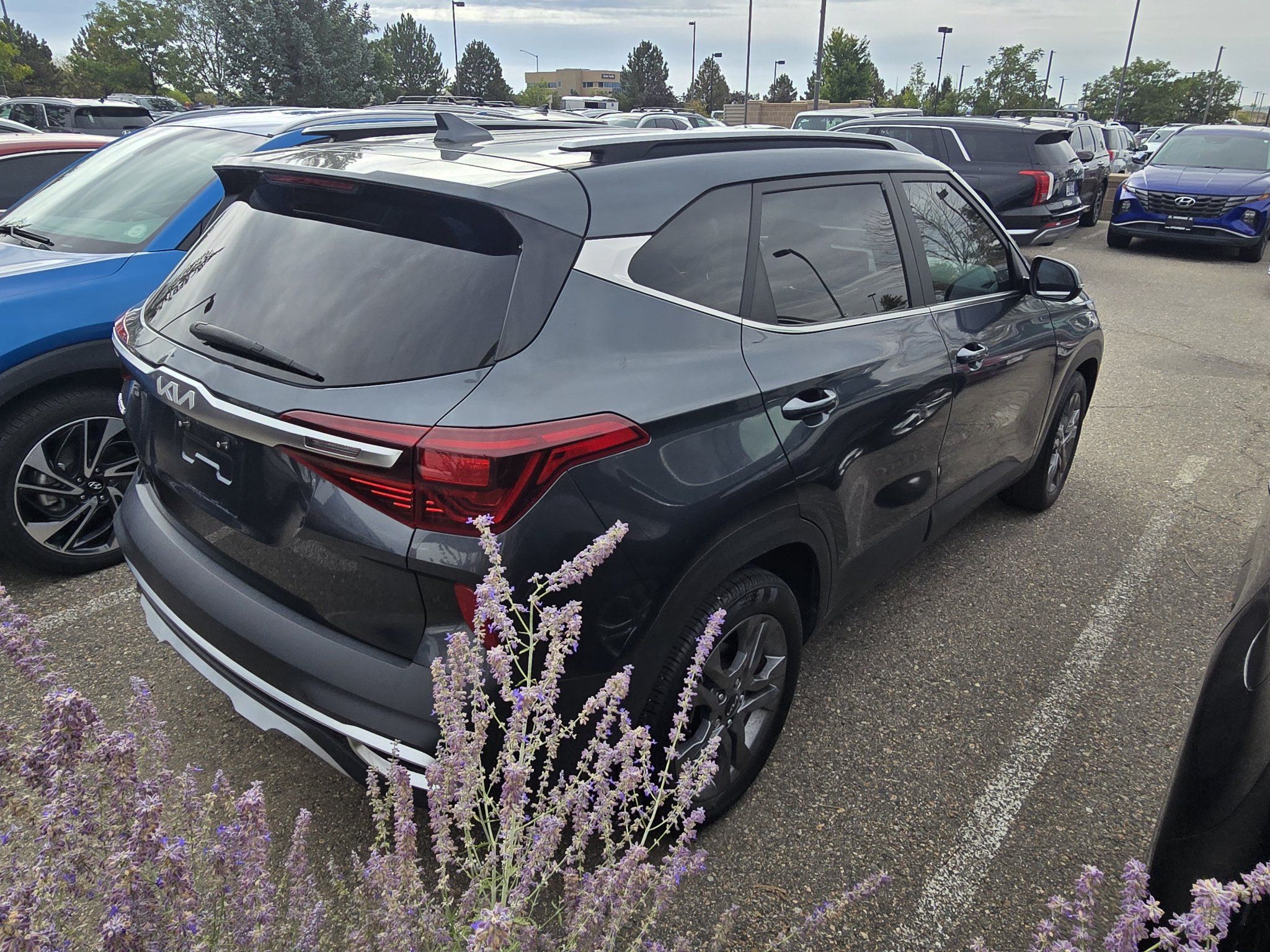 Used 2023 Kia Seltos S FWD image 6