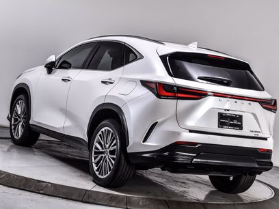 Used 2024 Lexus NX 350h AWD w/ Vision Package