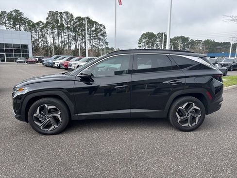 Used 2024 Hyundai Tucson Limited image 6