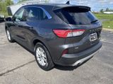 Used 2020 Ford Escape SE image 5