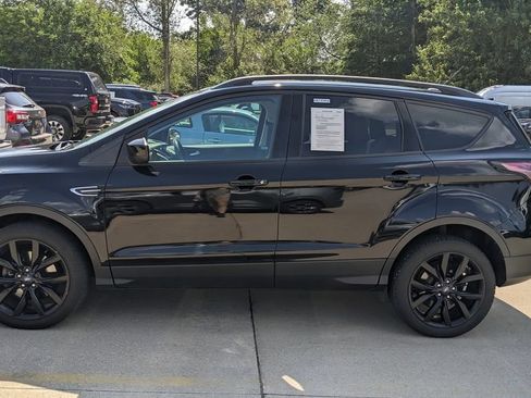 Used 2017 Ford Escape SE w/ Equipment Group 201A AWD/4WD image 6