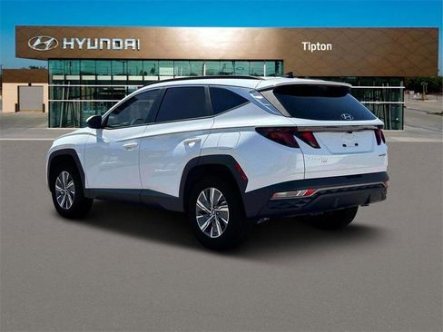 Used 2024 Hyundai Tucson Blue image 5
