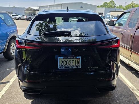 Used 2025 Lexus NX 250 FWD w/ Cold Area Package image 3