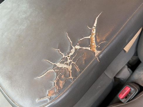 Used 2008 Dodge Ram 1500 Truck SLT w/ Popular Equipment Group image 7