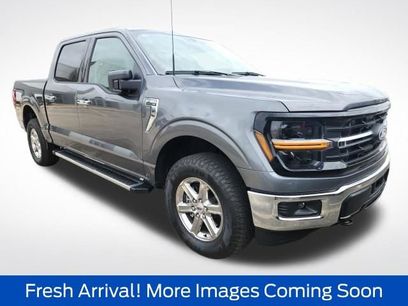 Used 2025 Ford F150 XLT w/ Equipment Group 301A Standard