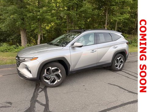Used 2023 Hyundai Tucson Limited AWD/4WD image 1