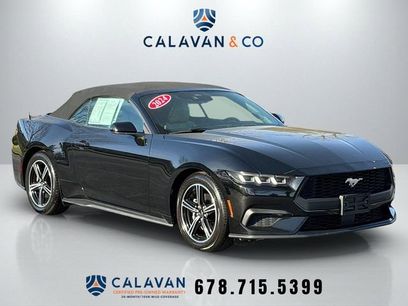 Used 2024 Ford Mustang Premium