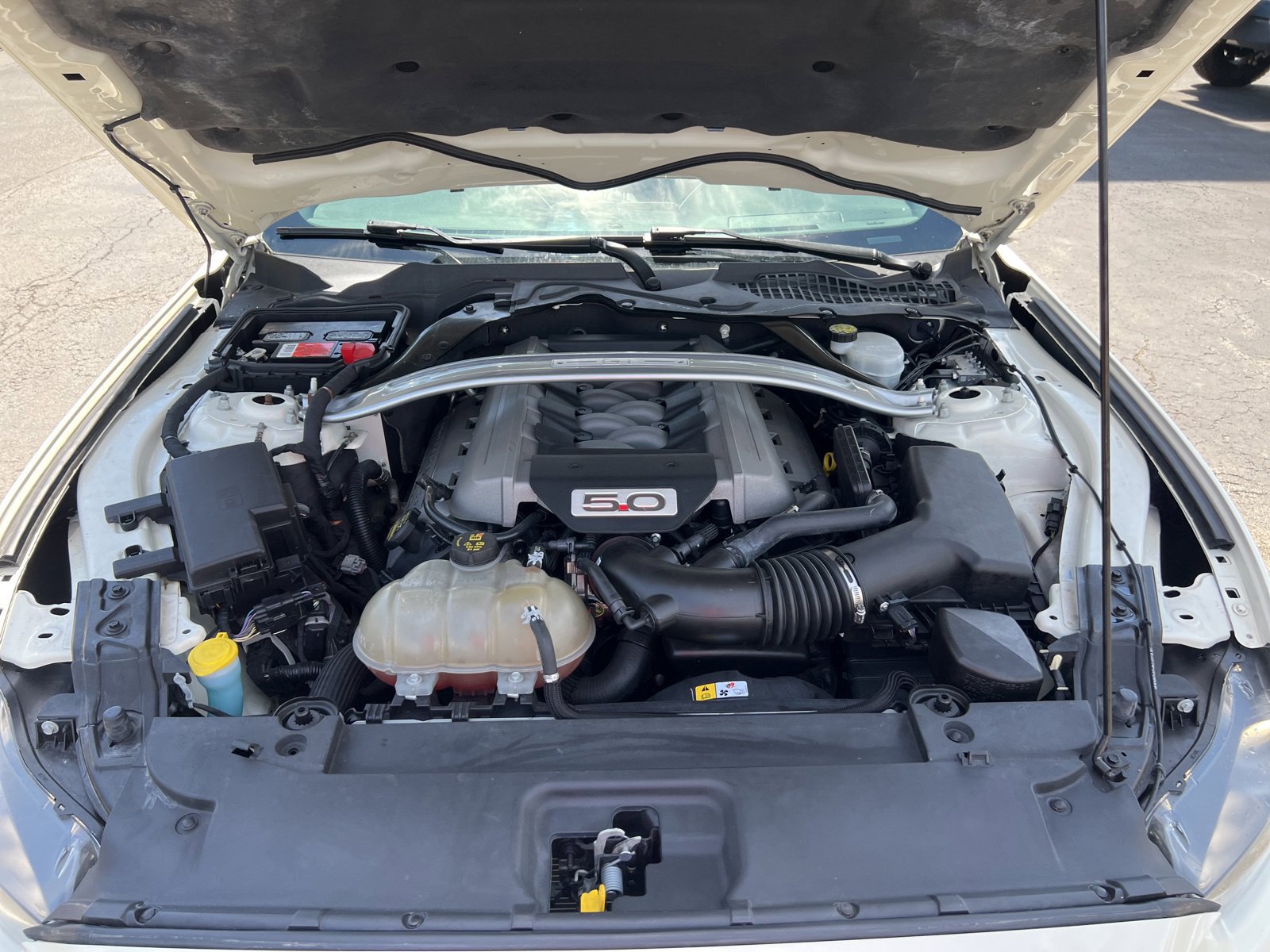 Used 2015 Ford Mustang 50 Years RWD image 4