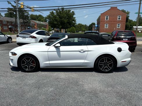 Used 2019 Ford Mustang Premium image 8