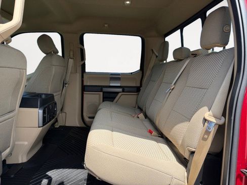 Used 2019 Ford F150 XLT w/ Equipment Group 302A Luxury AWD/4WD image 12