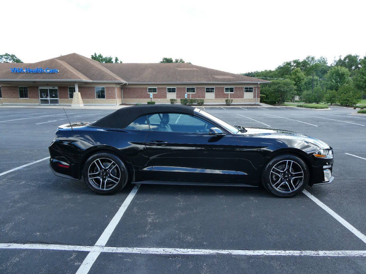 Used 2019 Ford Mustang Premium RWD image 4