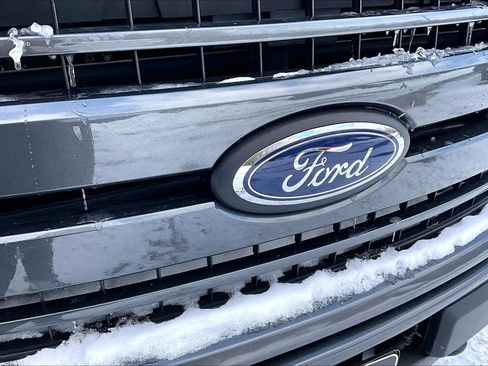 Used 2019 Ford F150 XLT w/ Equipment Group 301A Mid image 32