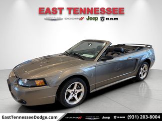 Used 2001 Ford Mustang Cobra video 1