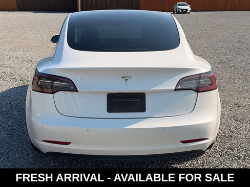 Used 2021 Tesla Model 3 Standard Range Plus RWD image 5