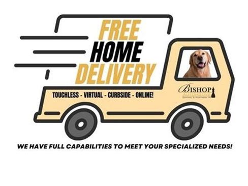 Used 2020 Chevrolet Silverado 1500 LT w/ All-Star Edition image 2