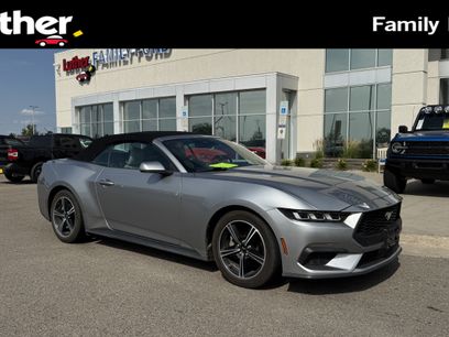 Used 2024 Ford Mustang Premium