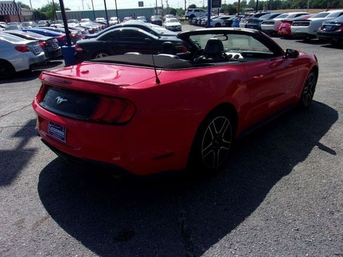 Used 2019 Ford Mustang Premium RWD image 6