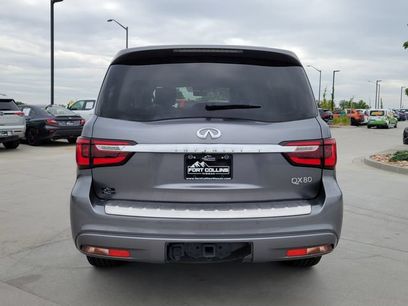 Used 2019 INFINITI QX80 Luxe w/ Proactive Package