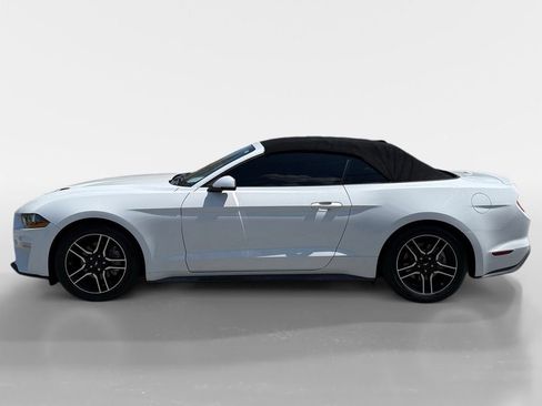 Used 2019 Ford Mustang Premium RWD image 2