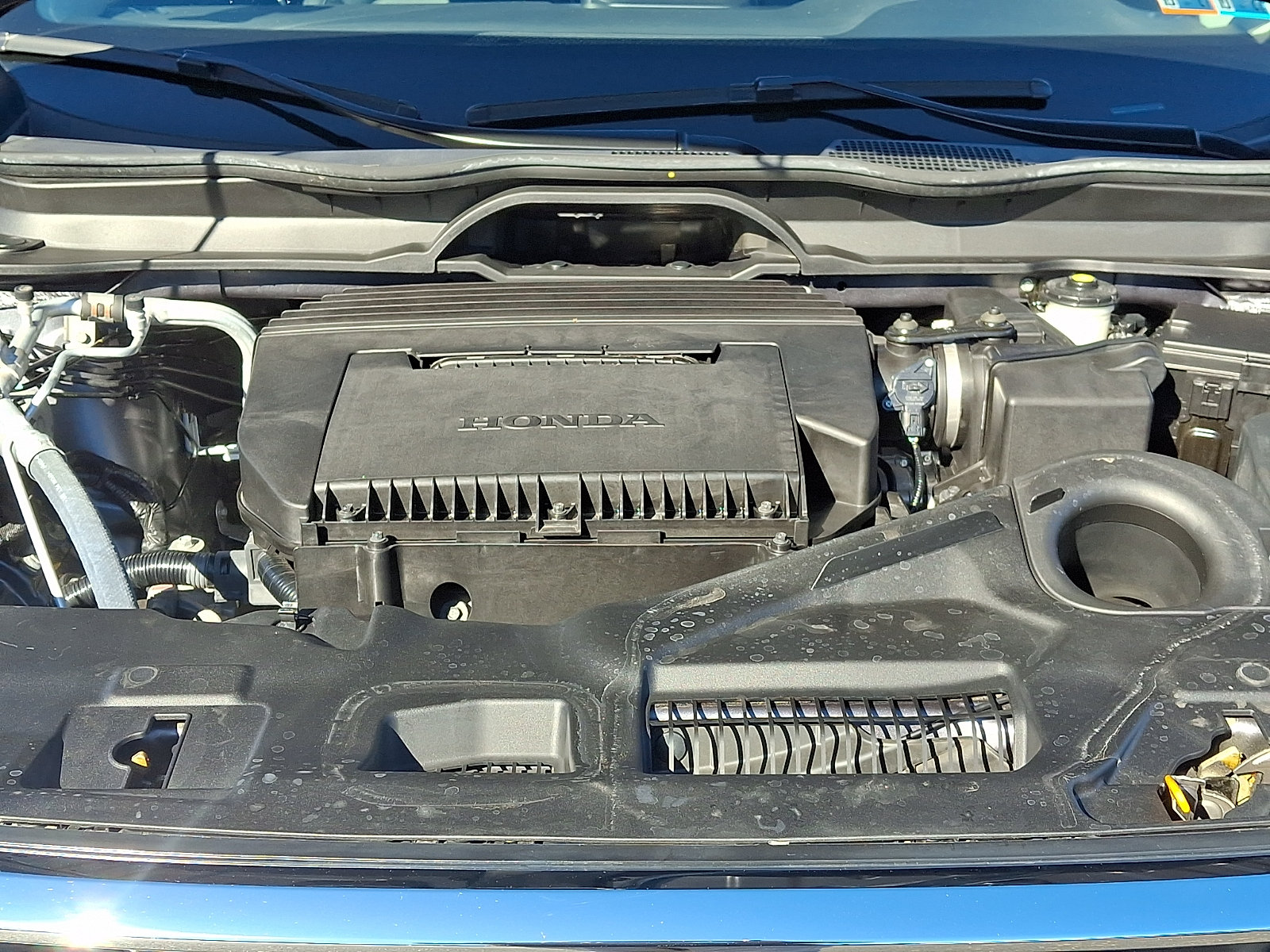 Used 2025 Honda Pilot EX-L image 29