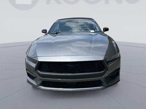 New 2026 Ford Mustang Premium w/ Mustang Nite Pony Package RWD image 4
