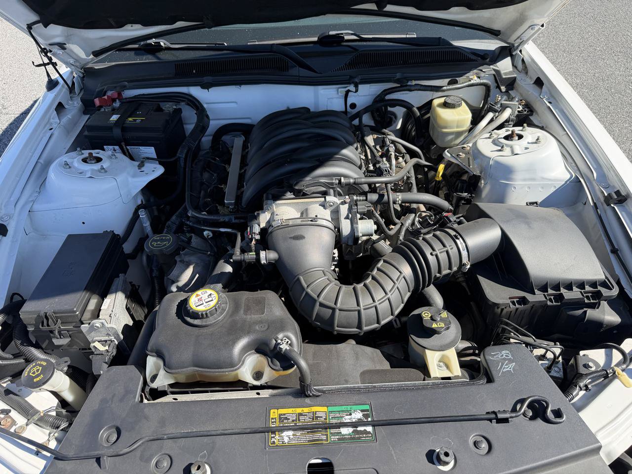 Used 2006 Ford Mustang GT RWD image 14