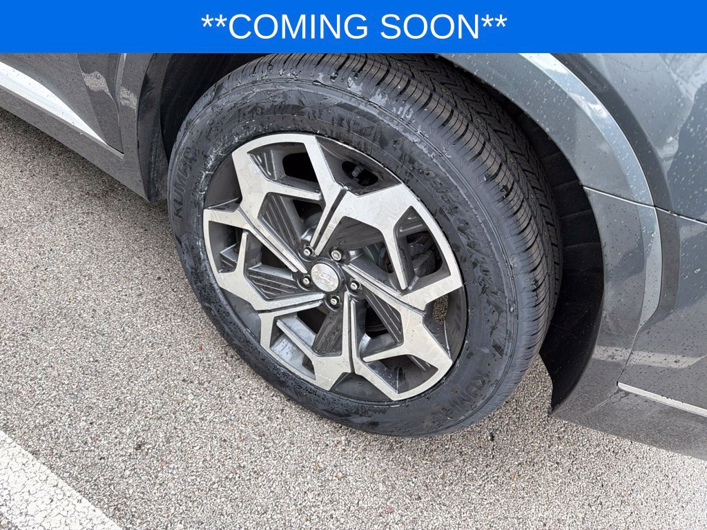 Used 2022 Hyundai Palisade Calligraphy w/ Cargo Package AWD/4WD image 6