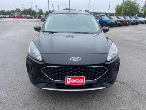 Used 2020 Ford Escape SE AWD/4WD image 3
