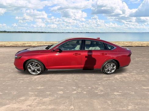 Used 2024 Honda Accord EX image 13