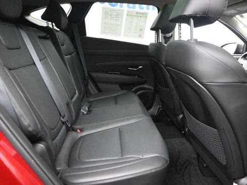 Used 2025 Hyundai Tucson Limited AWD/4WD image 8