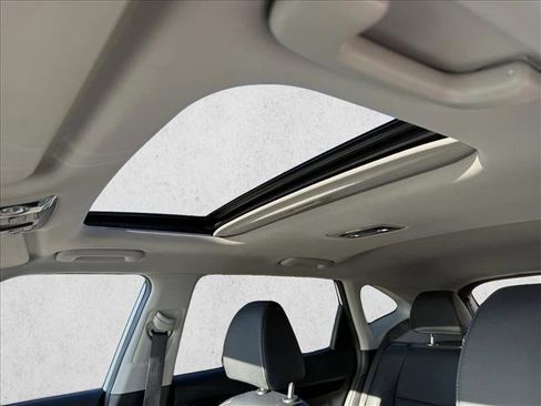 Used 2024 Kia Seltos SX w/ SX Sunroof Package image 16