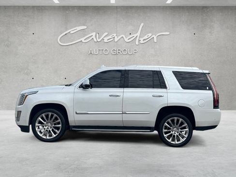 Used 2019 Cadillac Escalade Luxury image 11