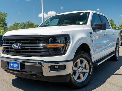 Used 2025 Ford F150 XLT w/ Equipment Group 301A Standard