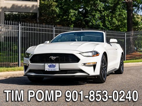 Used 2021 Ford Mustang Premium RWD image 2