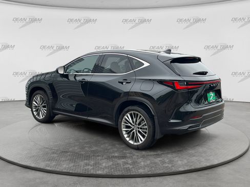 Used 2025 Lexus NX 350h AWD w/ Luxury Package image 6