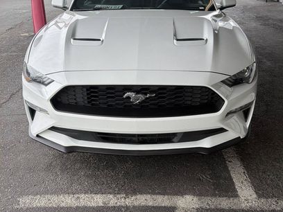 Used 2019 Ford Mustang Coupe w/ Equipment Group 101A