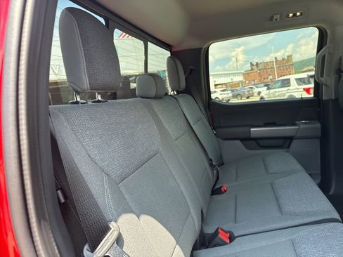 New 2025 Ford F150 XLT w/ Equipment Group 302A MID image 13