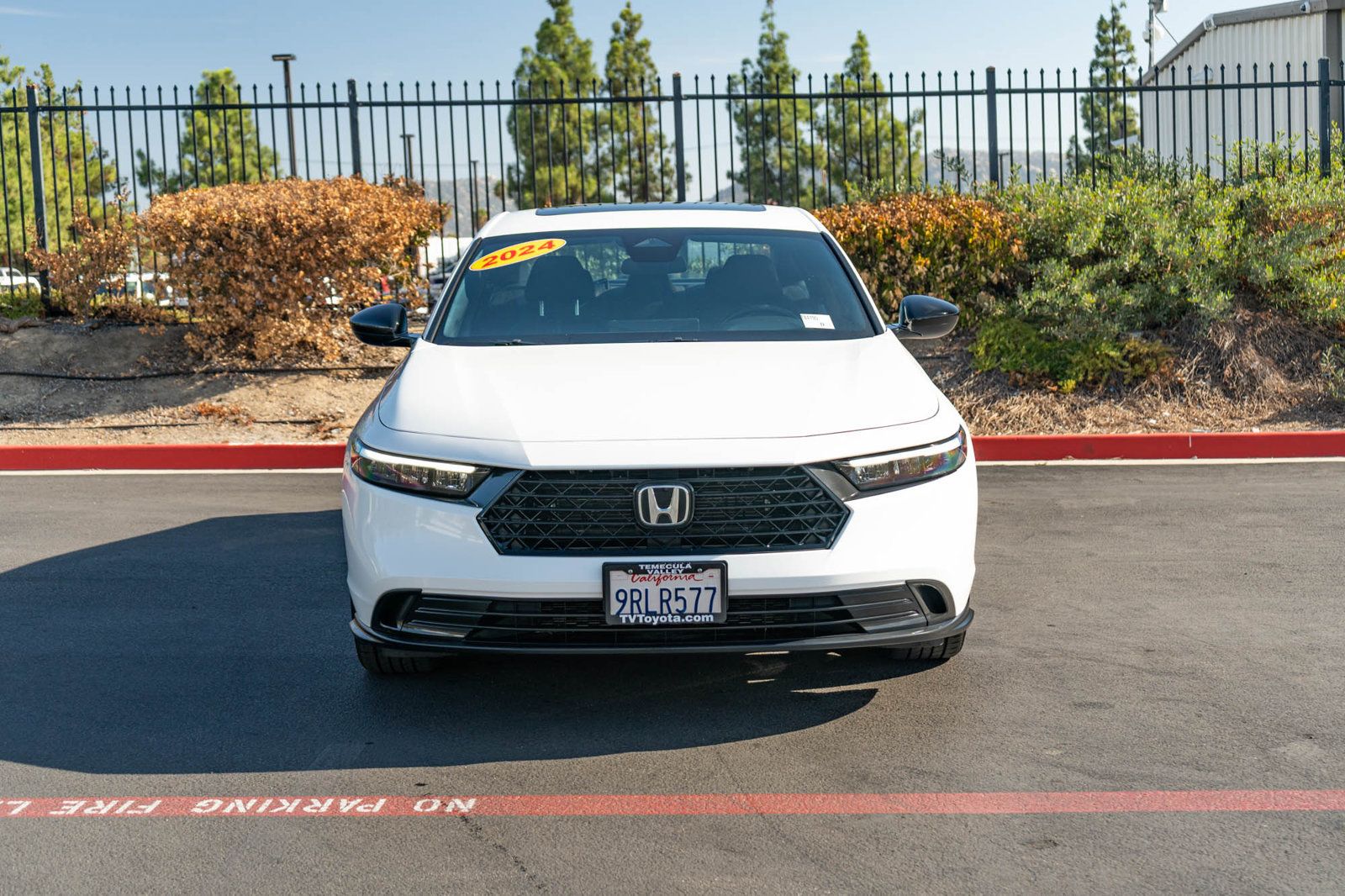 Used 2024 Honda Accord Sport image 2