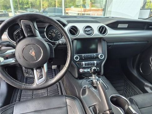 Used 2015 Ford Mustang GT Premium w/ 50 Years Appearance Package RWD image 11