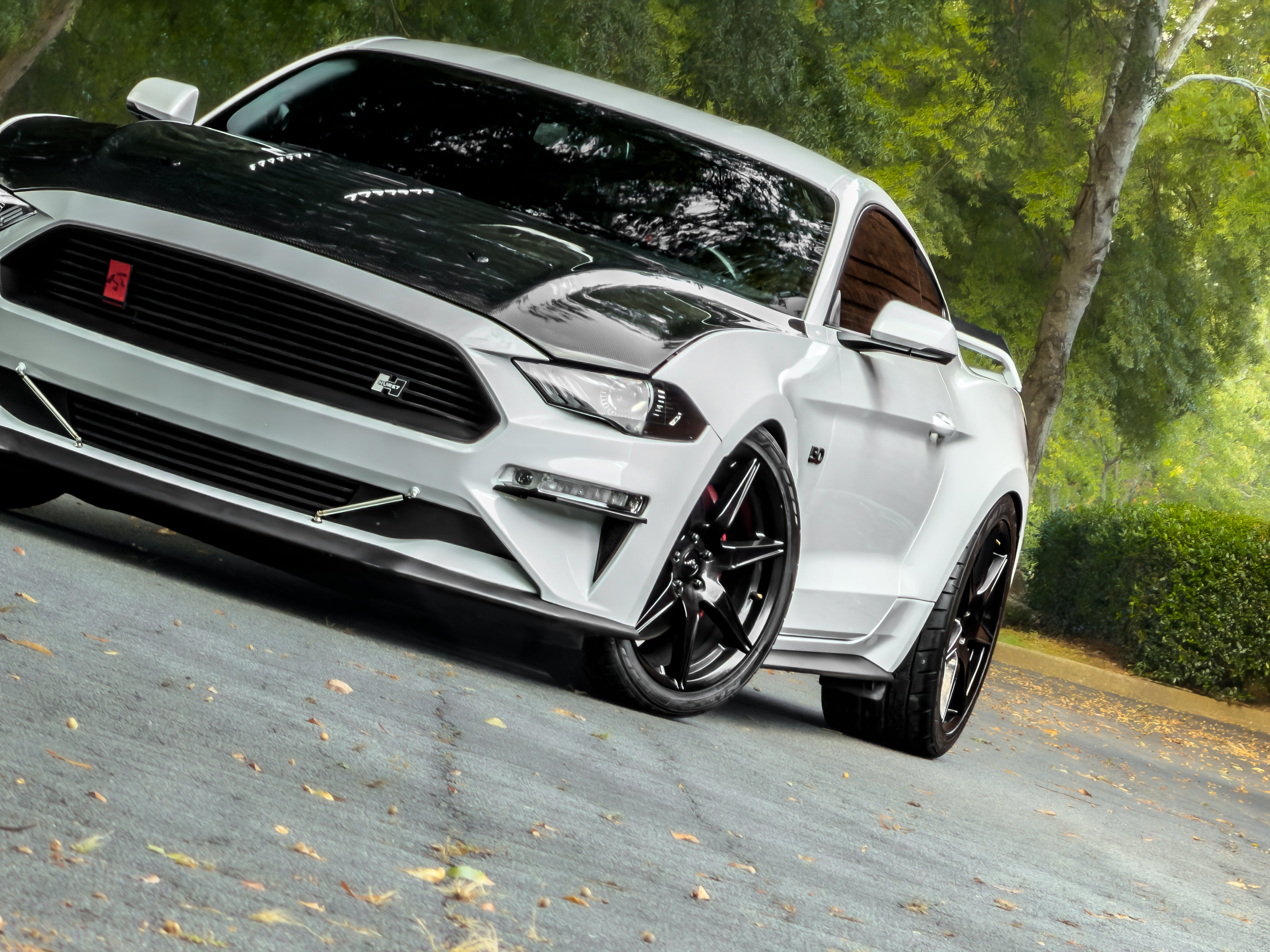 Used 2019 Ford Mustang GT Premium w/ GT Performance Package RWD image 24
