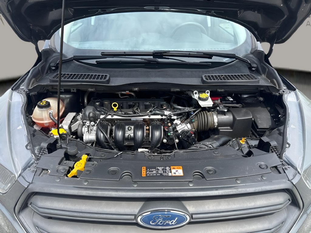 Used 2019 Ford Escape S FWD image 18