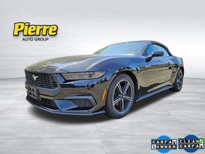 Used 2025 Ford Mustang Premium