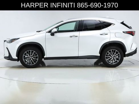 Used 2023 Lexus NX 350 AWD image 2