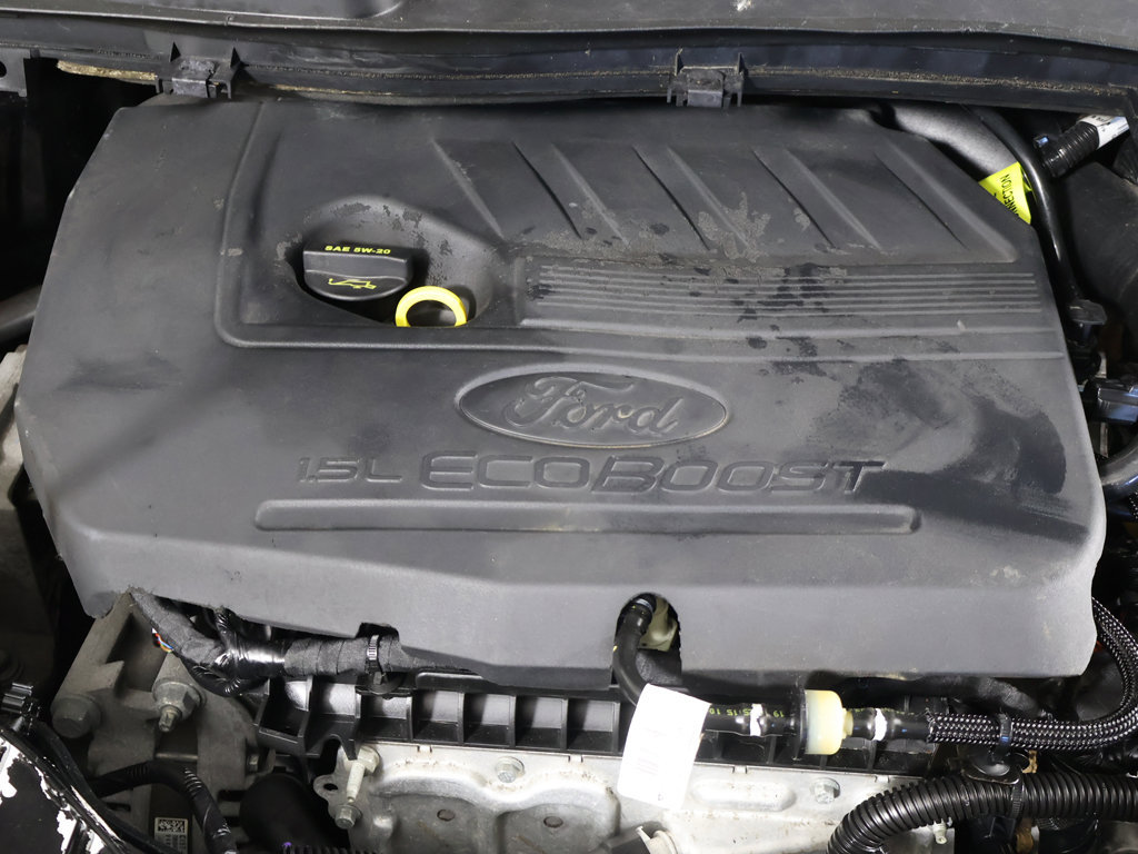 Used 2019 Ford Escape SEL AWD/4WD image 13