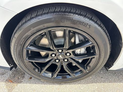 Used 2025 Ford Mustang GT Premium w/ Mustang Nite Pony Package image 12