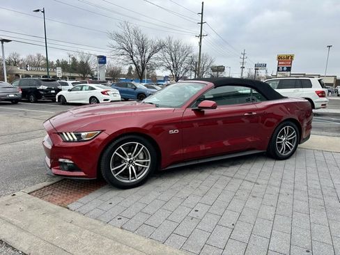 Used 2016 Ford Mustang GT Premium w/ Equipment Group 401A image 4