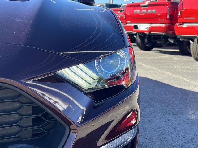 Used 2018 Ford Mustang Premium RWD image 9