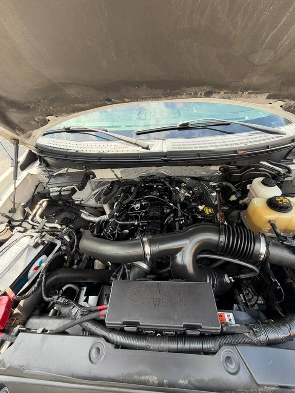 Used 2013 Ford F150 Limited AWD/4WD image 14