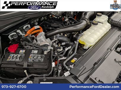 Used 2025 Ford F150 XLT w/ Equipment Group 303A High
