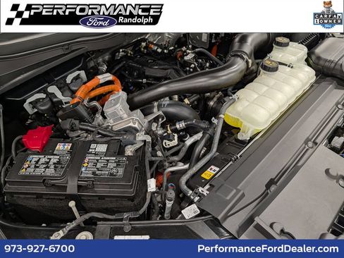 Used 2025 Ford F150 XLT w/ Equipment Group 303A High AWD/4WD image 1